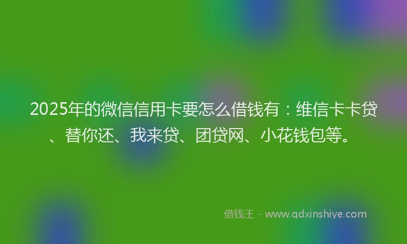 2025年的微信信用卡要怎么借钱有：维信卡卡贷、替你还、我来贷、团贷网、小花钱包等。