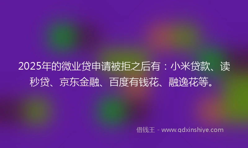 2025年的微业贷申请被拒之后有：小米贷款、读秒贷、京东金融、百度有钱花、融逸花等。