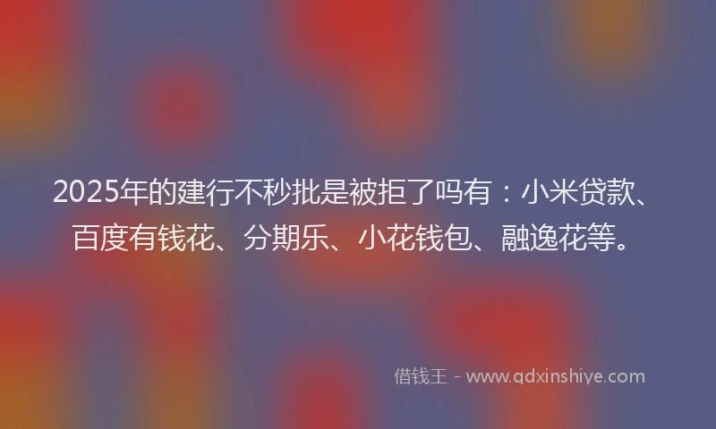 2025年的建行不秒批是被拒了吗有：小米贷款、百度有钱花、分期乐、小花钱包、融逸花等。