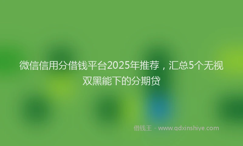 微信信用分借钱平台2025年推荐，汇总5个无视双黑能下的分期贷