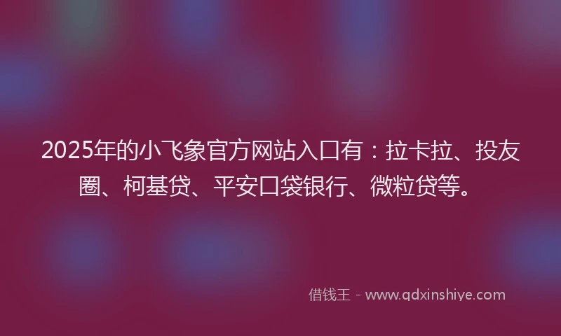2025年的小飞象官方网站入口有：拉卡拉、投友圈、柯基贷、平安口袋银行、微粒贷等。