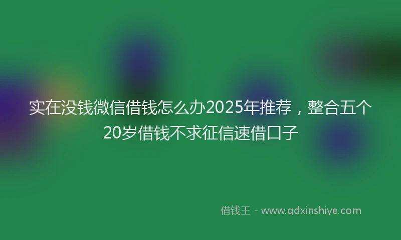 实在没钱微信借钱怎么办2025年推荐，整合五个20岁借钱不求征信速借口子