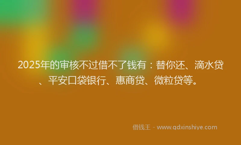 2025年的审核不过借不了钱有：替你还、滴水贷、平安口袋银行、惠商贷、微粒贷等。