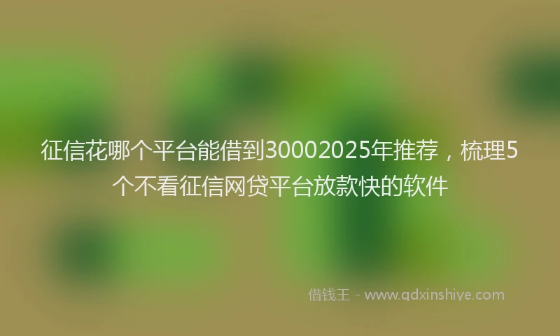 征信花哪个平台能借到30002025年推荐，梳理5个不看征信网贷平台放款快的软件