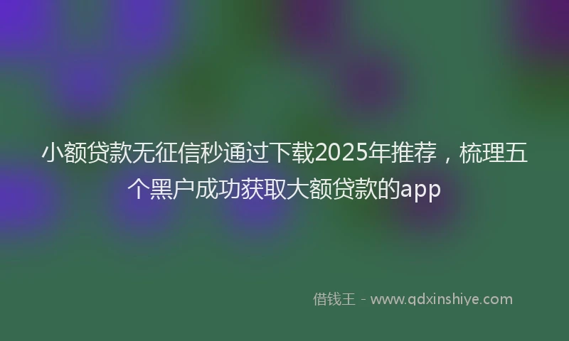小额贷款无征信秒通过下载2025年推荐，梳理五个黑户成功获取大额贷款的app