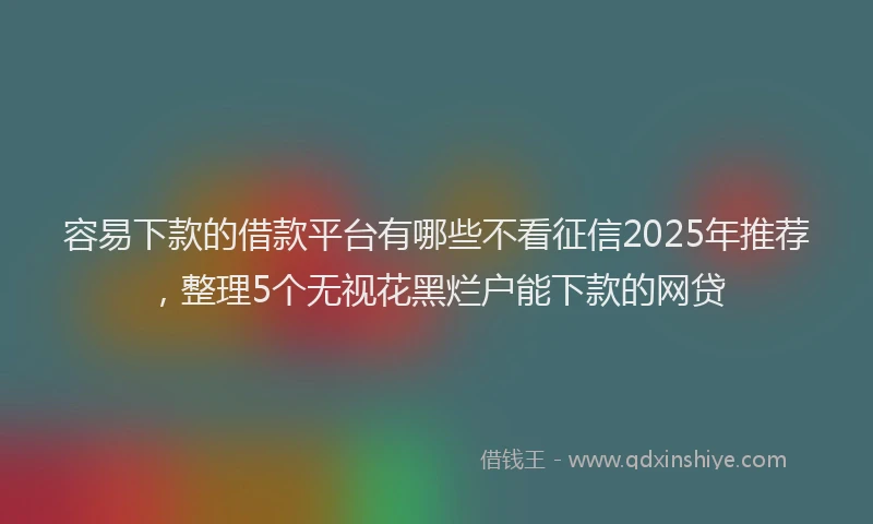 容易下款的借款平台有哪些不看征信2025年推荐，整理5个无视花黑烂户能下款的网贷