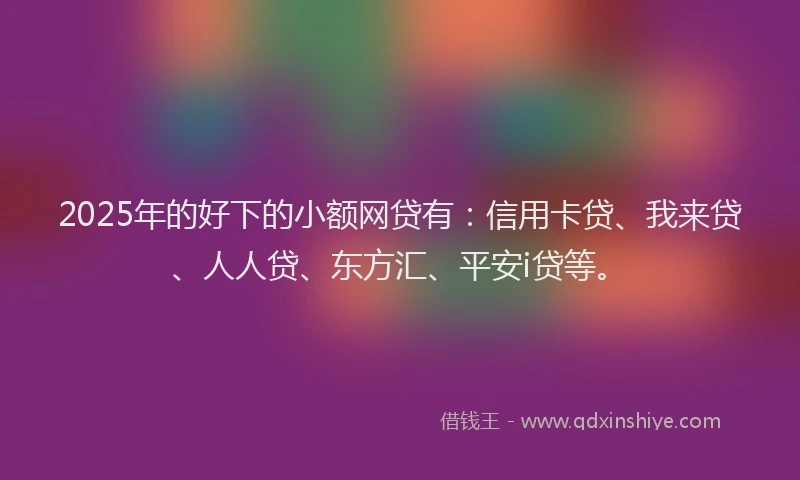 2025年的好下的小额网贷有：信用卡贷、我来贷、人人贷、东方汇、平安i贷等。