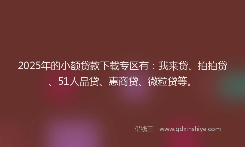 2025年的小额贷款下载专区有：我来贷、拍拍贷、51人品贷、惠商贷、微粒贷等。