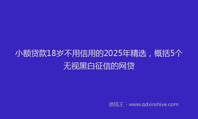 小额贷款18岁不用信用的2025年精选，概括5个无视黑白征信的网贷