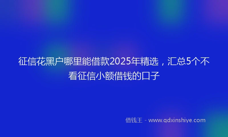 征信花黑户哪里能借款2025年精选，汇总5个不看征信小额借钱的口子