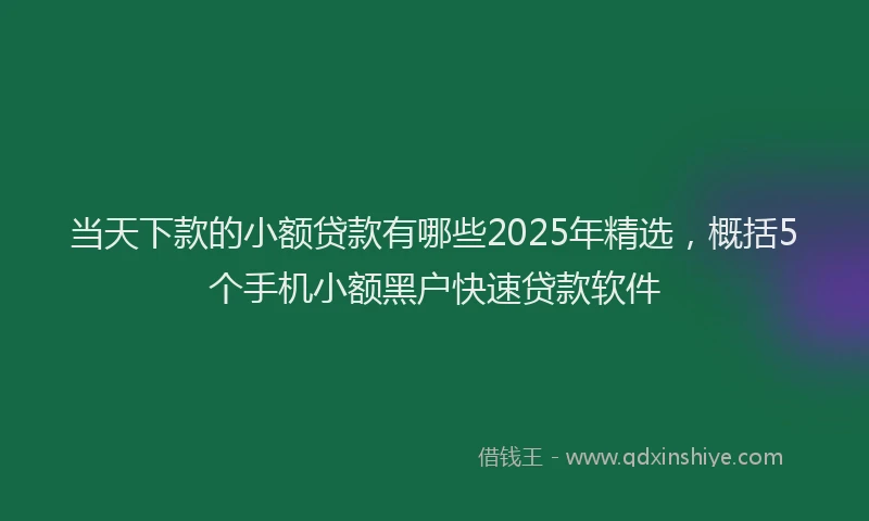 当天下款的小额贷款有哪些2025年精选，概括5个手机小额黑户快速贷款软件
