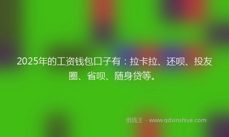 2025年的工资钱包口子有：拉卡拉、还呗、投友圈、省呗、随身贷等。