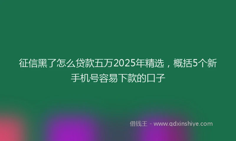 征信黑了怎么贷款五万2025年精选，概括5个新手机号容易下款的口子