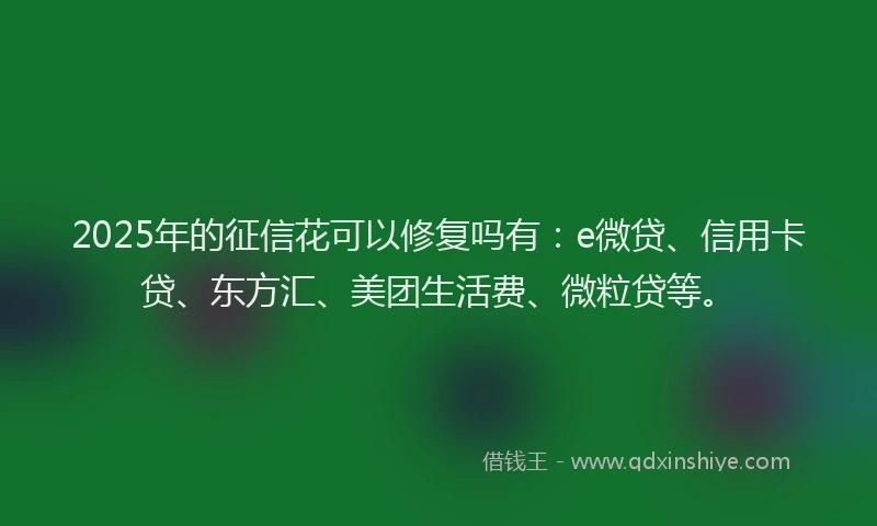 2025年的征信花可以修复吗有：e微贷、信用卡贷、东方汇、美团生活费、微粒贷等。