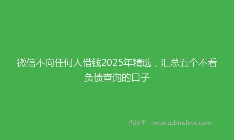 微信不向任何人借钱2025年精选，汇总五个不看负债查询的口子