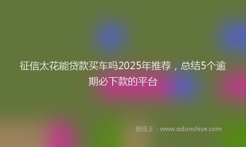征信太花能贷款买车吗2025年推荐，总结5个逾期必下款的平台