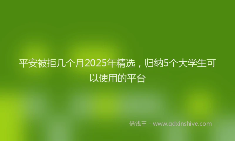 平安被拒几个月2025年精选，归纳5个大学生可以使用的平台