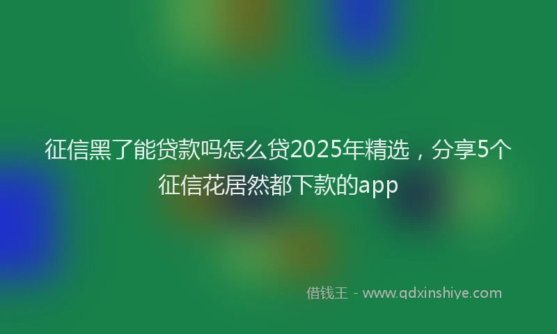 征信黑了能贷款吗怎么贷2025年精选，分享5个征信花居然都下款的app
