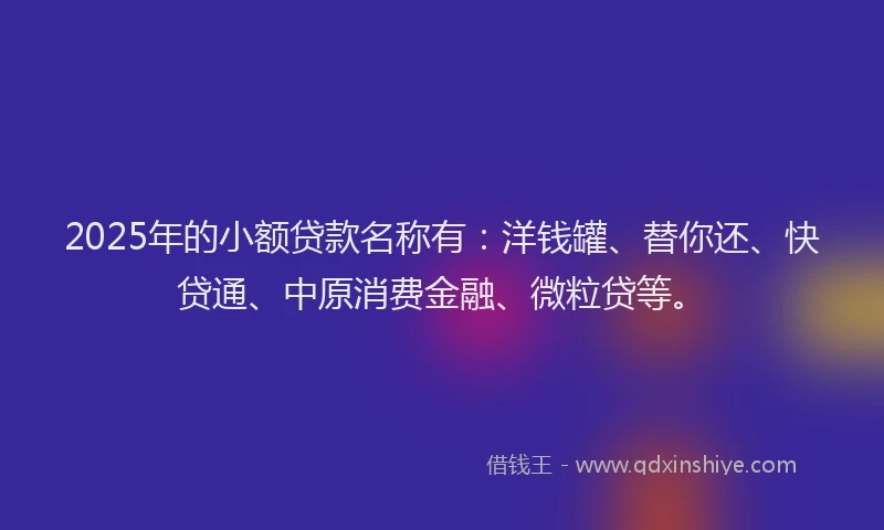 2025年的小额贷款名称有：洋钱罐、替你还、快贷通、中原消费金融、微粒贷等。