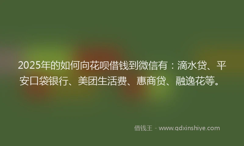 2025年的如何向花呗借钱到微信有：滴水贷、平安口袋银行、美团生活费、惠商贷、融逸花等。