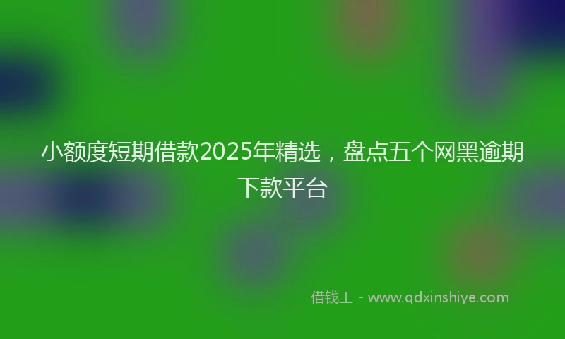 小额度短期借款2025年精选，盘点五个网黑逾期下款平台