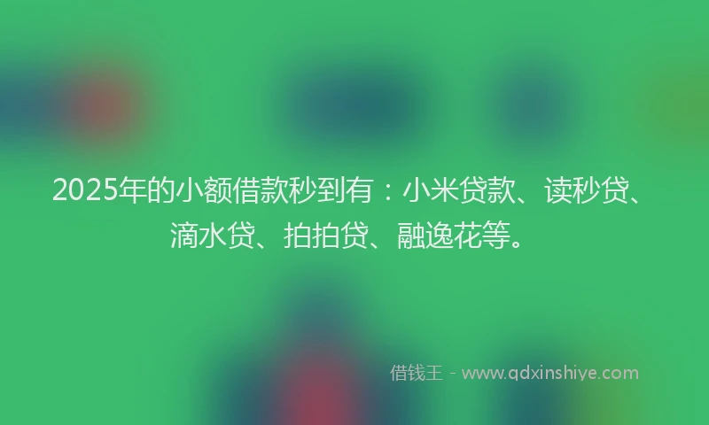 2025年的小额借款秒到有：小米贷款、读秒贷、滴水贷、拍拍贷、融逸花等。