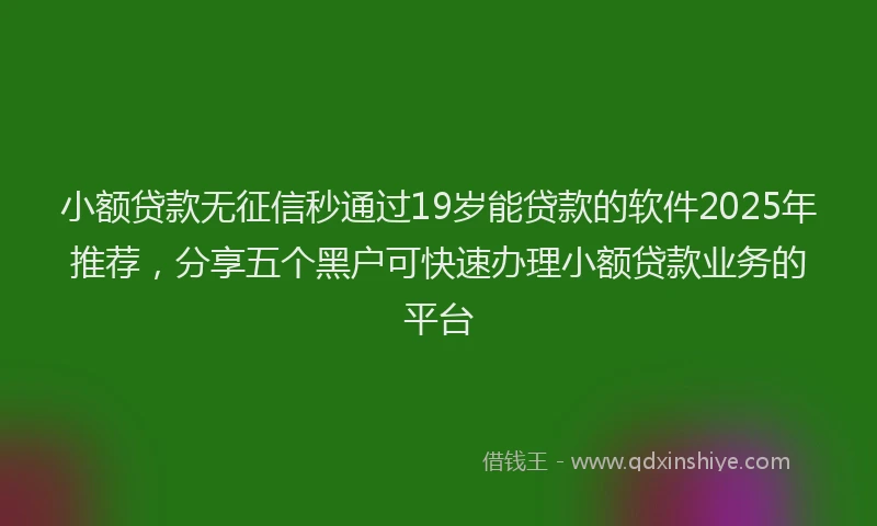 小额贷款无征信秒通过19岁能贷款的软件2025年推荐，分享五个黑户可快速办理小额贷款业务的平台