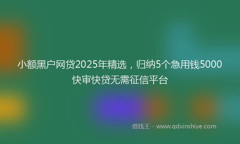 小额黑户网贷2025年精选，归纳5个急用钱5000快审快贷无需征信平台
