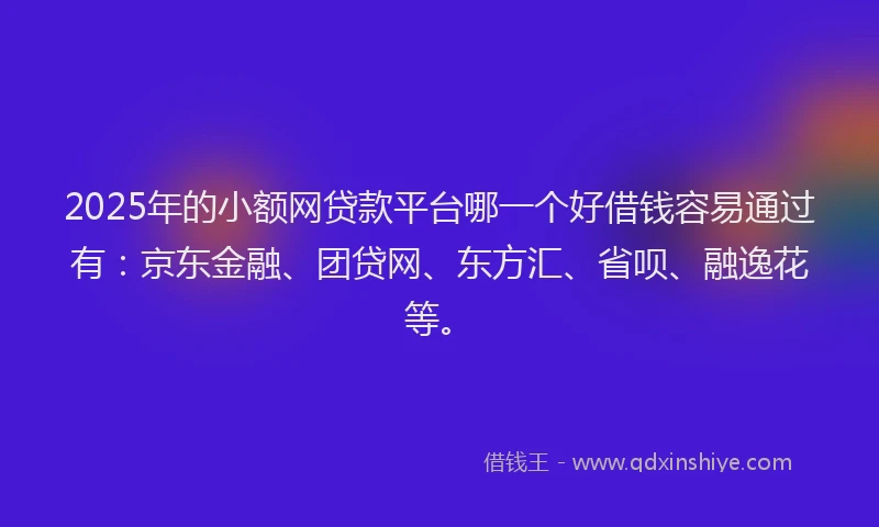 2025年的小额网贷款平台哪一个好借钱容易通过有：京东金融、团贷网、东方汇、省呗、融逸花等。