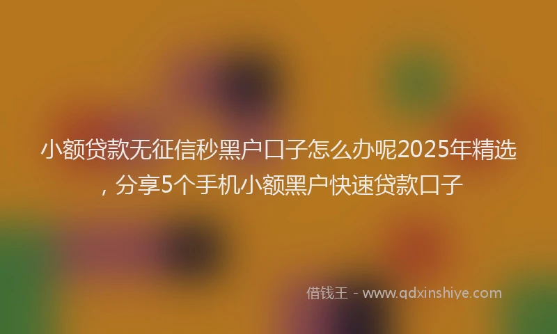 小额贷款无征信秒黑户口子怎么办呢2025年精选，分享5个手机小额黑户快速贷款口子