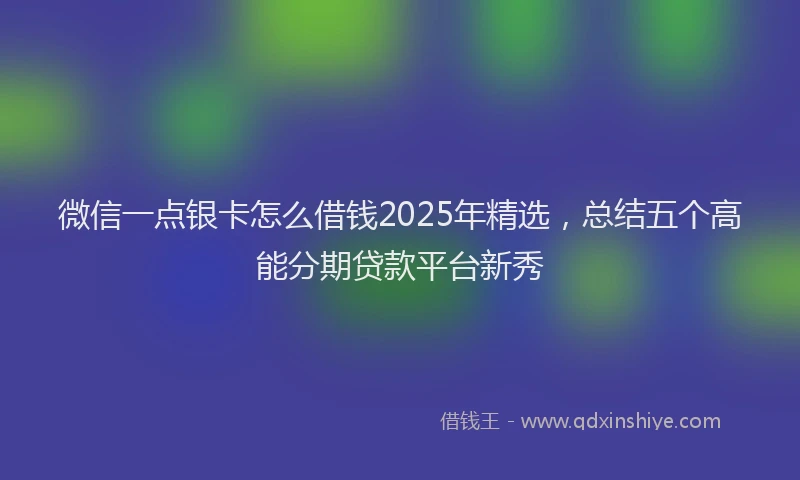 微信一点银卡怎么借钱2025年精选，总结五个高能分期贷款平台新秀