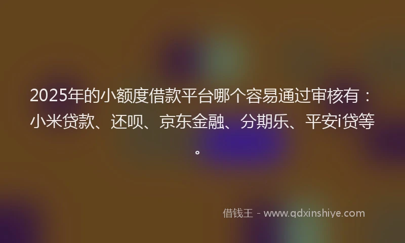 2025年的小额度借款平台哪个容易通过审核有：小米贷款、还呗、京东金融、分期乐、平安i贷等。