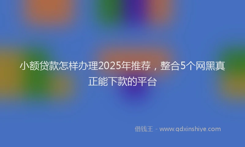 小额贷款怎样办理2025年推荐，整合5个网黑真正能下款的平台