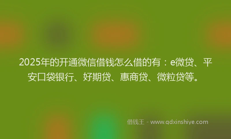 2025年的开通微信借钱怎么借的有：e微贷、平安口袋银行、好期贷、惠商贷、微粒贷等。