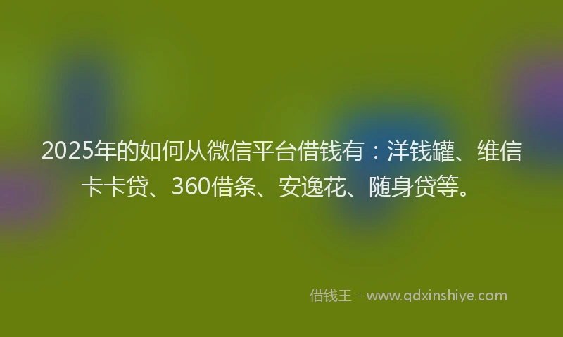 2025年的如何从微信平台借钱有：洋钱罐、维信卡卡贷、360借条、安逸花、随身贷等。