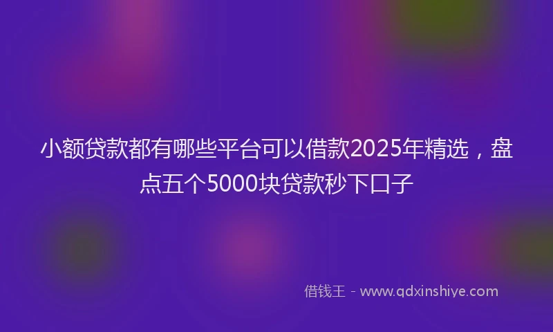 小额贷款都有哪些平台可以借款2025年精选，盘点五个5000块贷款秒下口子