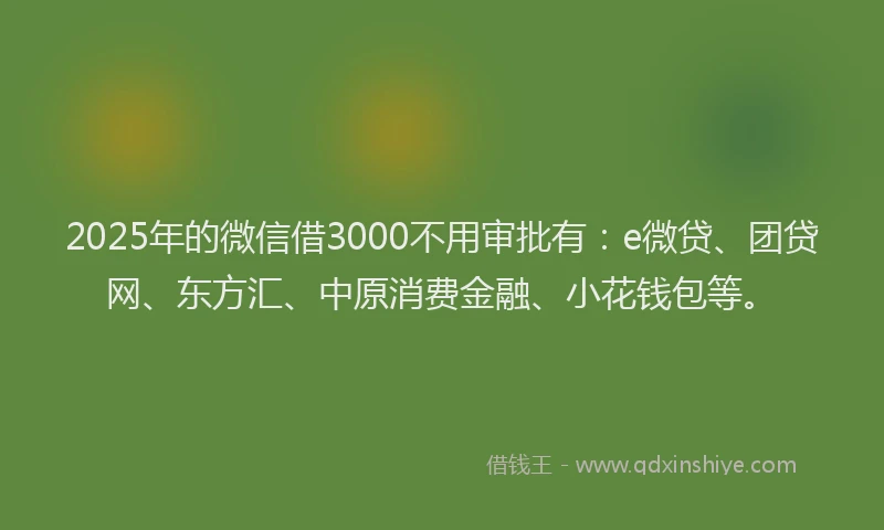 2025年的微信借3000不用审批有：e微贷、团贷网、东方汇、中原消费金融、小花钱包等。