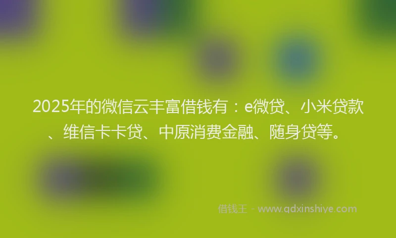 2025年的微信云丰富借钱有：e微贷、小米贷款、维信卡卡贷、中原消费金融、随身贷等。