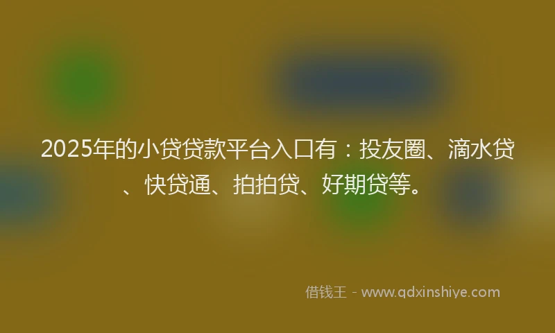 2025年的小贷贷款平台入口有：投友圈、滴水贷、快贷通、拍拍贷、好期贷等。