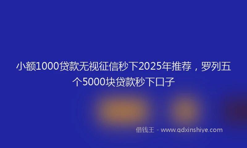 小额1000贷款无视征信秒下2025年推荐，罗列五个5000块贷款秒下口子