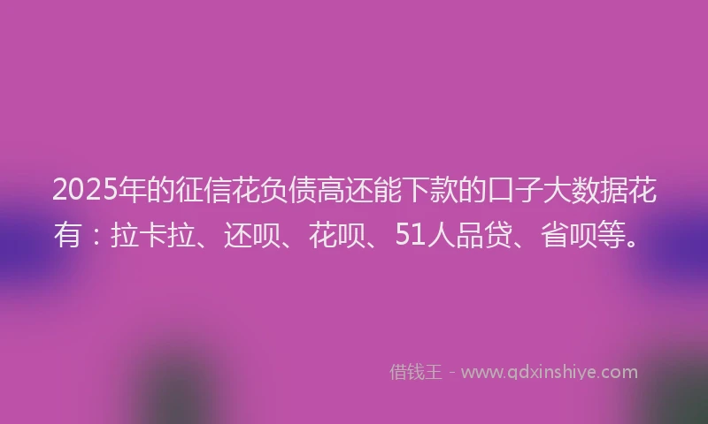2025年的征信花负债高还能下款的口子大数据花有：拉卡拉、还呗、花呗、51人品贷、省呗等。