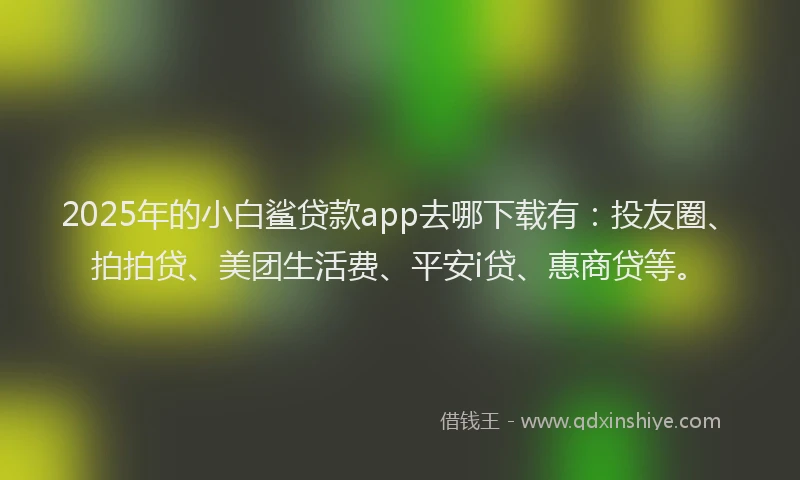 2025年的小白鲨贷款app去哪下载有：投友圈、拍拍贷、美团生活费、平安i贷、惠商贷等。