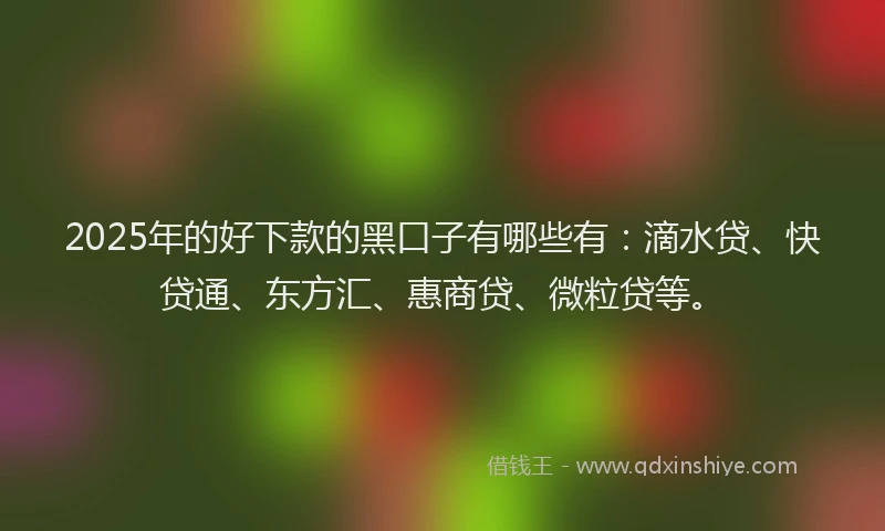 2025年的好下款的黑口子有哪些有：滴水贷、快贷通、东方汇、惠商贷、微粒贷等。
