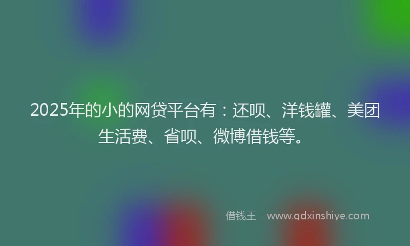 2025年的小的网贷平台有：还呗、洋钱罐、美团生活费、省呗、微博借钱等。