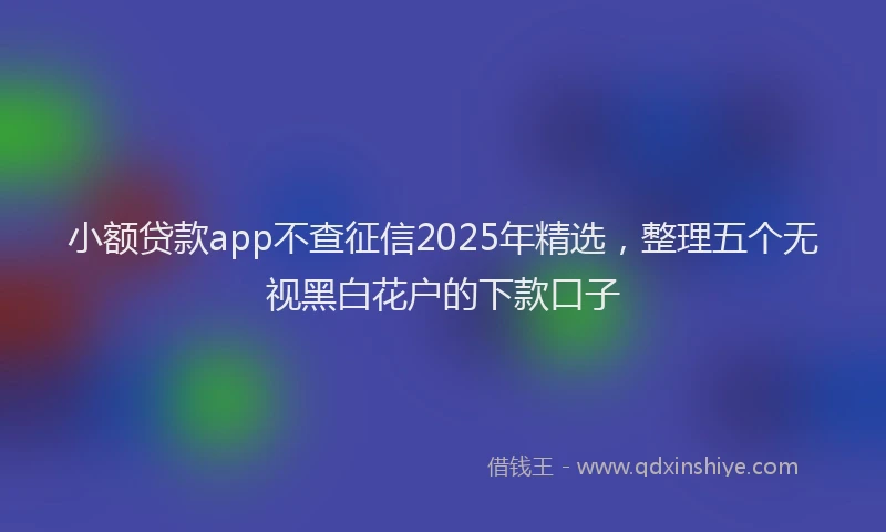 小额贷款app不查征信2025年精选，整理五个无视黑白花户的下款口子
