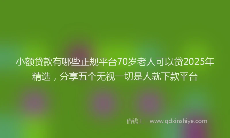 小额贷款有哪些正规平台70岁老人可以贷2025年精选，分享五个无视一切是人就下款平台