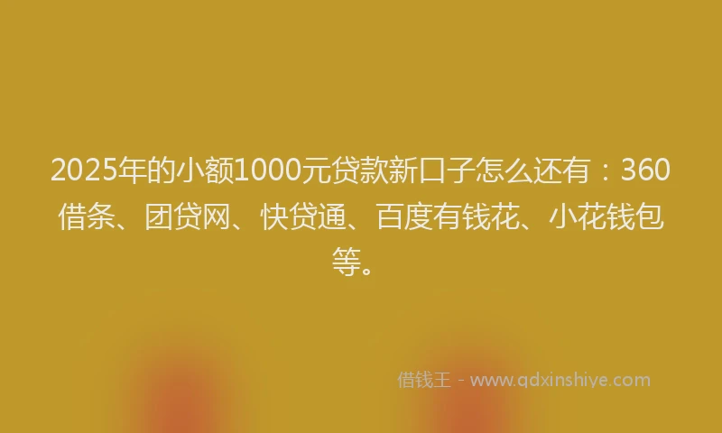 2025年的小额1000元贷款新口子怎么还有：360借条、团贷网、快贷通、百度有钱花、小花钱包等。