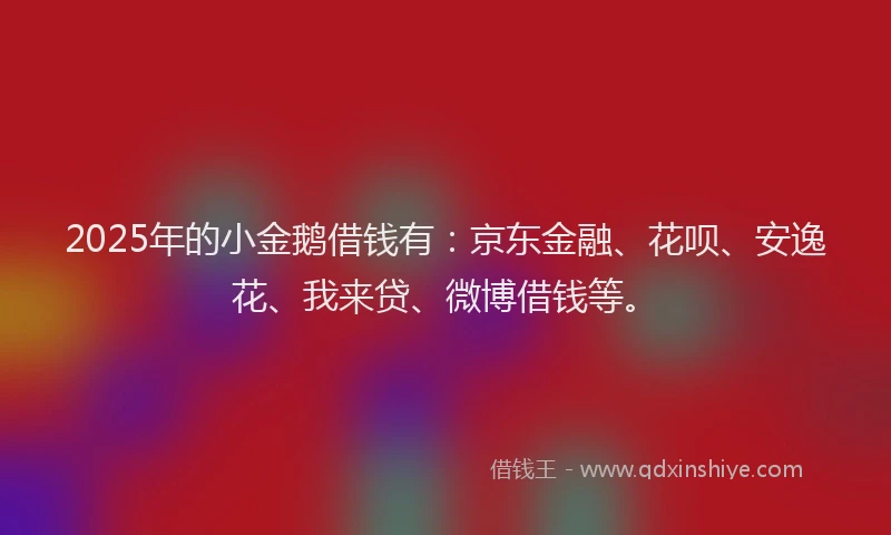 2025年的小金鹅借钱有：京东金融、花呗、安逸花、我来贷、微博借钱等。