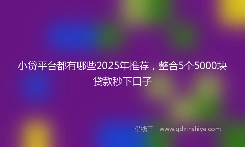 小贷平台都有哪些2025年推荐，整合5个5000块贷款秒下口子