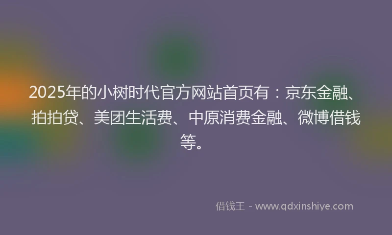 2025年的小树时代官方网站首页有：京东金融、拍拍贷、美团生活费、中原消费金融、微博借钱等。